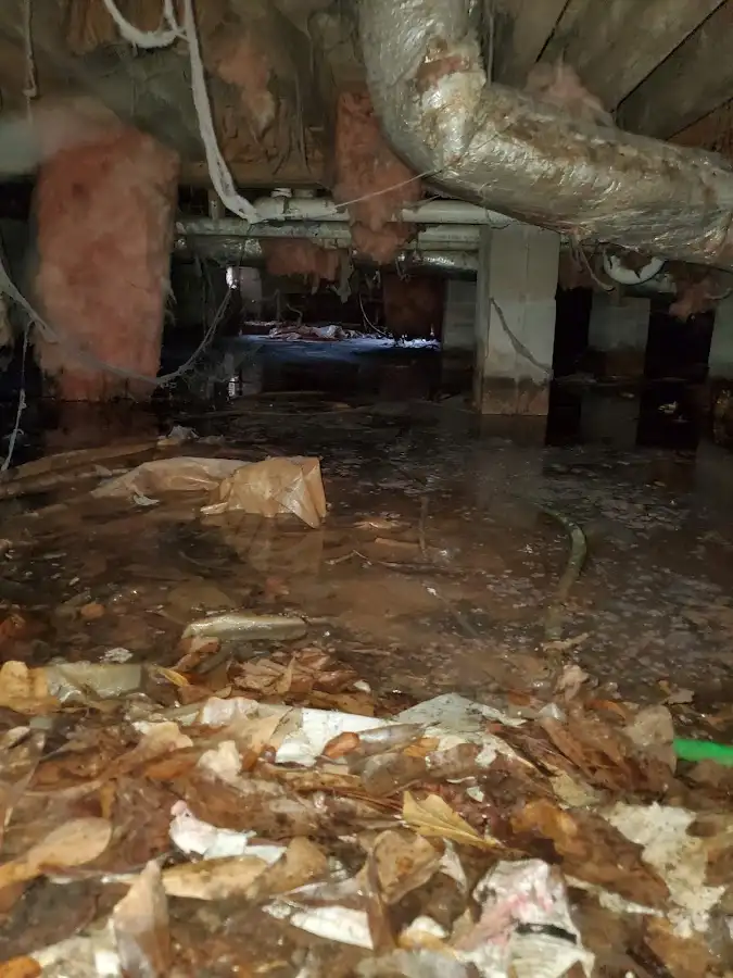 Crawl space flood assessment for Leak Detection & Repair in Chicago
